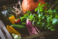 Vegetables - PhotoDune Item for Sale