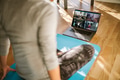 Group of people practicing yoga via video conference - PhotoDune Item for Sale