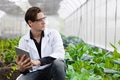 Modern farmer man using tablet computer to monitor develop plant growth rate concept - PhotoDune Item for Sale