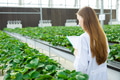 Scientist working collect data record tracking plant grow data for agriculture farm research science - PhotoDune Item for Sale