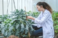 Agriculture Entomology pest insects research science working people, Plant scientist smart woman - PhotoDune Item for Sale