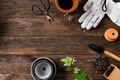 Wooden plant background with the gardening tools for hobby - PhotoDune Item for Sale