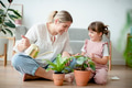 Kid watering potted plants at home - PhotoDune Item for Sale