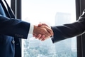 Business handshake - PhotoDune Item for Sale