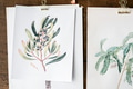 Picture go hand drawing flowers collection in a frame - PhotoDune Item for Sale