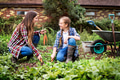 Cultivate Garden Nature Seasonal Growth Concept - PhotoDune Item for Sale