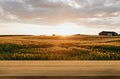 Nature product backdrop, farm and sunlight - PhotoDune Item for Sale
