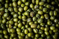 Mung beans textured background - PhotoDune Item for Sale