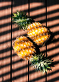 Pineapples with shadow from the light - PhotoDune Item for Sale