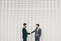 Young bearded professional businessman shaking hand with partner - PhotoDune Item for Sale