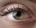 Green eye - PhotoDune Item for Sale