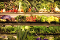 Vegetables - PhotoDune Item for Sale