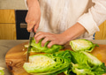 Chopped cabbage - PhotoDune Item for Sale