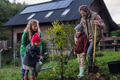Young family taking care of home garden, planting tree. Mother, father and kids spending time - PhotoDune Item for Sale