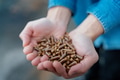 Handful of wood pellets in palms. Man holding pellet fuels in hands, palms. Reusing wooden - PhotoDune Item for Sale