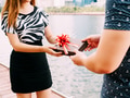Male giving a gift box to his female partner - PhotoDune Item for Sale