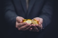 businessman's hands full of bitcoin sign of coins - PhotoDune Item for Sale