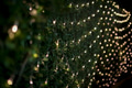 Beautiful Christmas bokeh lights for background - PhotoDune Item for Sale