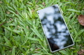 Phone reflected to the light on green grass - PhotoDune Item for Sale