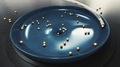 Pearls in a carousel plate - PhotoDune Item for Sale