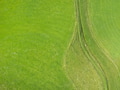 green meadow background aerial view - PhotoDune Item for Sale