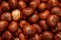 Wet Conkers - PhotoDune Item for Sale