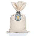 Money bag with padlock - PhotoDune Item for Sale