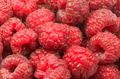 Raspberries - PhotoDune Item for Sale