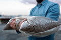 Man holding bag with wood pellets, pellet fuels manufactured in wood pellet line. Reusing wooden - PhotoDune Item for Sale