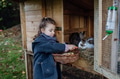 Girl feeding pet rabbit, giving it vegetables from the garden and old bread. - PhotoDune Item for Sale