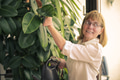Woman watering plants - PhotoDune Item for Sale