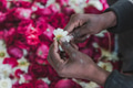 Flower garland - PhotoDune Item for Sale