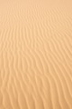 Dune ondulate - PhotoDune Item for Sale