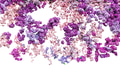 Cascade of vibrant pink and purple flowers isolated on transparent white - PhotoDune Item for Sale