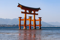 Torii gate - PhotoDune Item for Sale