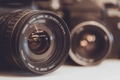 Collection of Both Vintage and Modern Cameras - PhotoDune Item for Sale