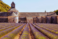 Cistercian Abbey - PhotoDune Item for Sale
