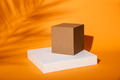 Product stage box on orange background with tropical palm tree shadow. Minimal thanksgiving scene - PhotoDune Item for Sale