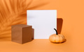 Halloween, autumn and thanksgiving orange background with geometric shapes and pumpkin. - PhotoDune Item for Sale