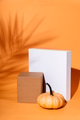 Abstract background with geometric shapes and thanksgiving pumpkin. Product display for halloween - PhotoDune Item for Sale