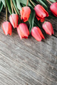Pink tulips bouquet border on vintage wooden background. Mother's day, wedding and valentin - PhotoDune Item for Sale