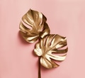 Natural luxury. Golden monstera leaves on pastel pink background. Minimal Flat lay tropical botany - PhotoDune Item for Sale