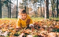 Happy little baby girl playing with autumn leaves. Child having fun in fall season. - PhotoDune Item for Sale