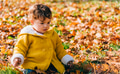 Happy little baby girl playing with autumn leaves in park. Child smiling having fun in forest - PhotoDune Item for Sale