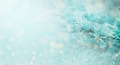 Christmas tree with bokeh light. Winter fir branch with snow background. New year holiday - PhotoDune Item for Sale