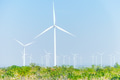 Green energy, Eco power resource, Net zero carbon concept, Wind turbine with green tree on blue sky - PhotoDune Item for Sale