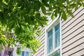 Green Eco city, Green tree with home apartment condominium for cool saving energy and fresh air. - PhotoDune Item for Sale