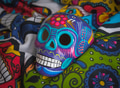 Colorful skull - PhotoDune Item for Sale