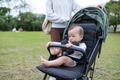 Baby sitting inside stroller at park outdoors - PhotoDune Item for Sale