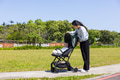 Parent Adjusting Stroller Park Grass Scene - PhotoDune Item for Sale